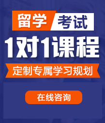 操日本女人的肥逼留学考试一对一精品课